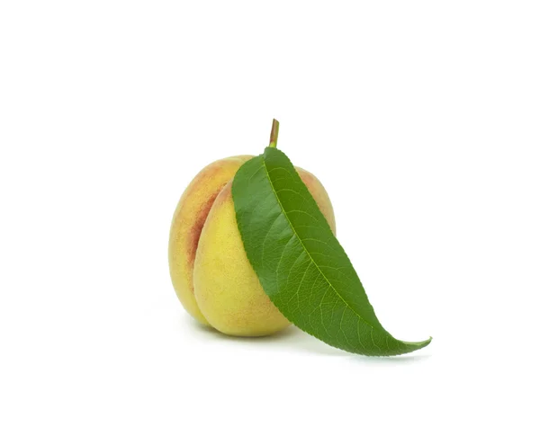 Peach with a leaf — Stock Photo, Image