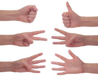 Hands clipart