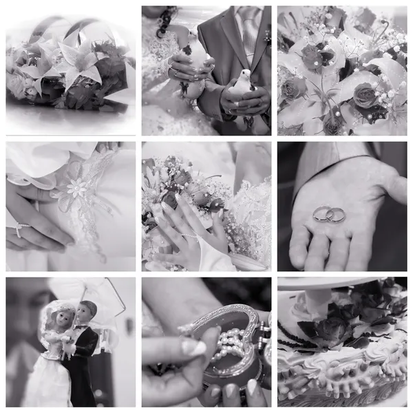 WEDDING COLLAGE — Stock Photo, Image