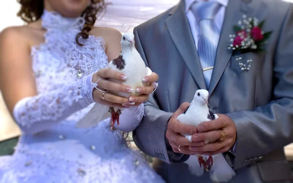 Düğün güvercinler Stok Resim