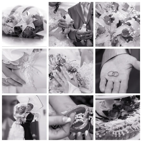 stock image WEDDING COLLAGE