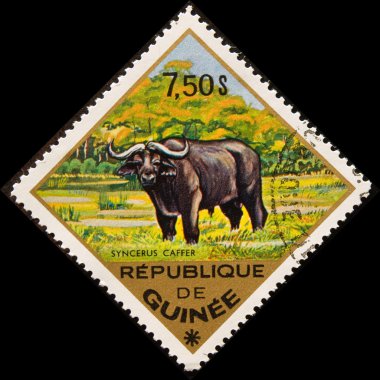 Postage stamp. The African Buffalo clipart