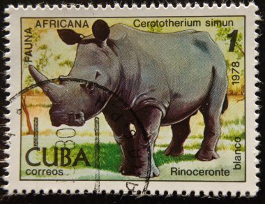 Vintage stamp depicting White Rhinocero clipart