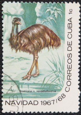 Postal stamp. The Emu, Dromaius clipart