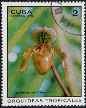 Postal stamp CUBA clipart