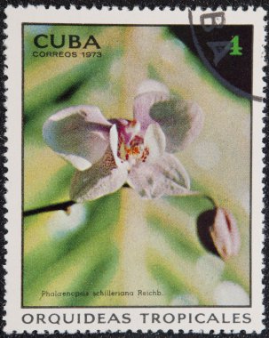 Postal stamp CUBA, clipart