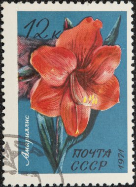 Vintage stamp depicting Medinilla magnif clipart