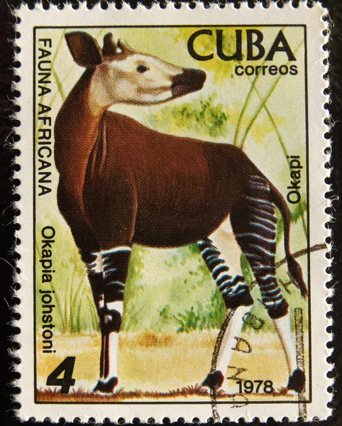 stock image Postal stamp. The Okapi is a giraffid