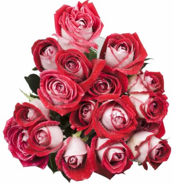 gelen kırmızı-beyaz gül buket