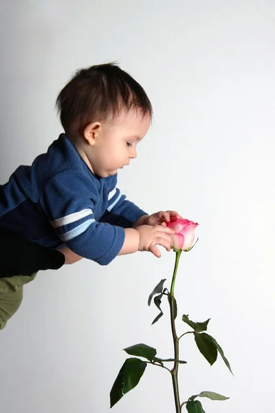 儿童和一朵玫瑰 — 图库照片