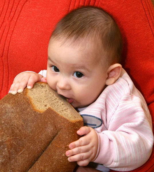 パンと子 — ストック写真