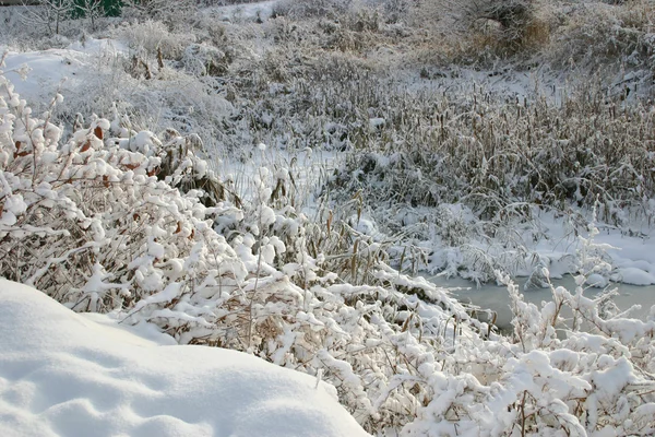 Nieve invierno —  Fotos de Stock