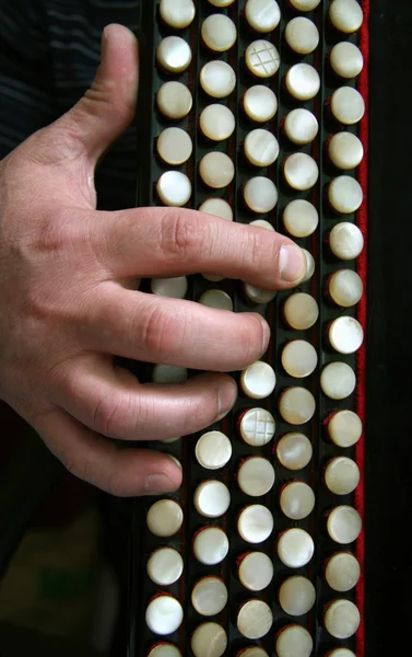 O teclado de uma baiana — Fotografia de Stock