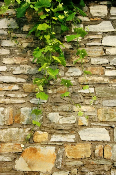 Old stone — Stock Photo, Image