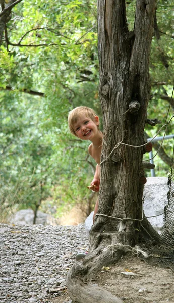 Menina está escondida atrás de uma árvore — Fotografia de Stock