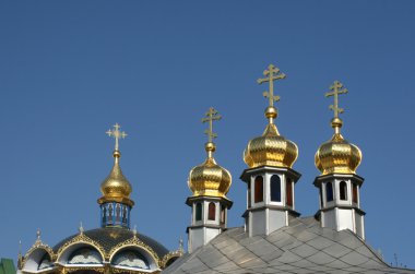 Domes of churches. clipart