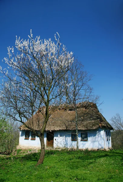 Eski kırsal ev — Stok fotoğraf