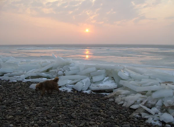 Solnedgång på havet på vintern. — Stockfoto