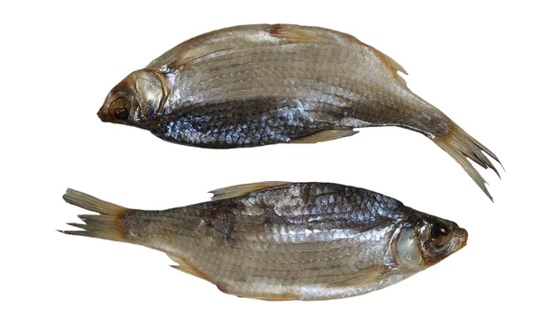 Two salted sea roach fishes — Stock Photo, Image