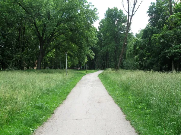 stock image Path in the park