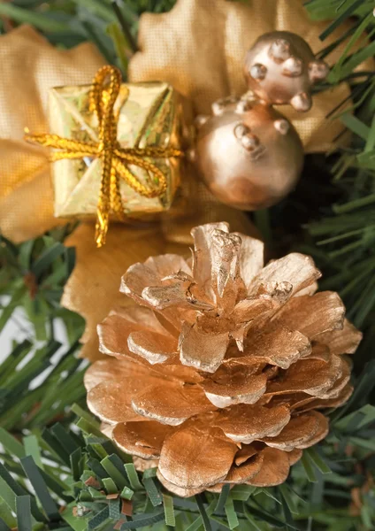 Closeup golden cone on fir branch — Stock Photo, Image