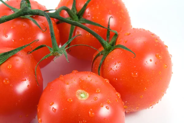 Su damlaları ile tatlı domates — Stok fotoğraf