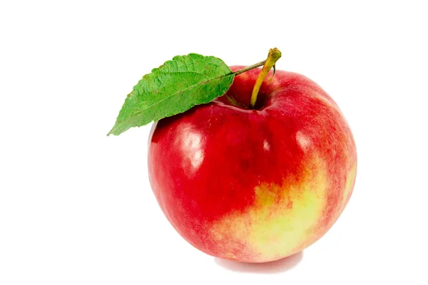Zralé červené jablko s listy izolované na whi — Stock fotografie