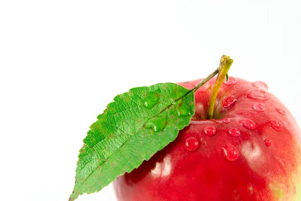有水滴的红苹果 — 图库照片
