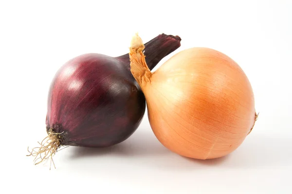 stock image Red and white onion