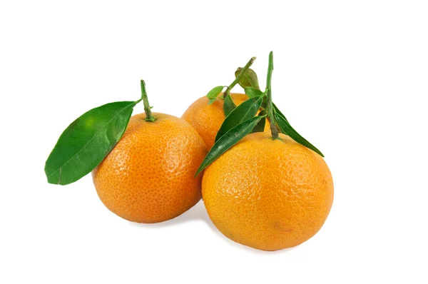 Three tangerines with green leaves — Stock Photo, Image