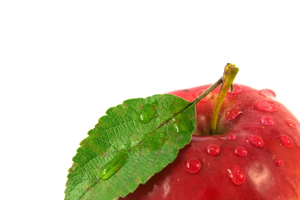 Closeup rode appel met waterdruppels — Stockfoto