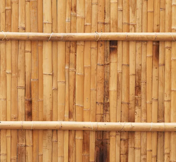 Естественная текстура бамбукового забора — стоковое фото