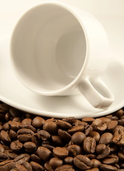 Beyaz kahve fincanı kavrulmuş fasulye üzerinde — Stok fotoğraf
