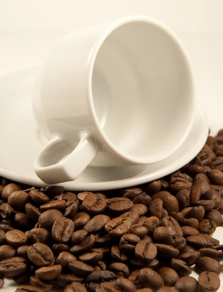Чашка белого фарфора на жареных кофейных зерен — стоковое фото