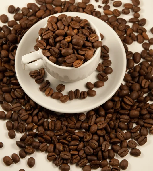 Witte china cup met geroosterde koffie bean — Stockfoto