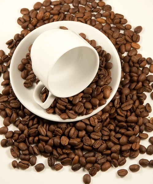 China coffee cup op geroosterde bonen — Stockfoto