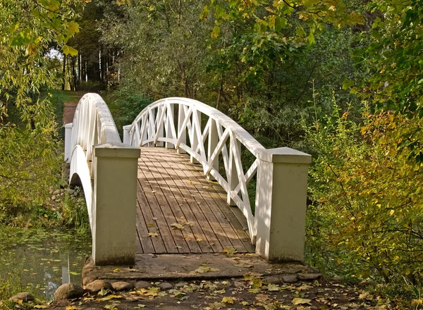 Vit footbridge i park — Stockfoto