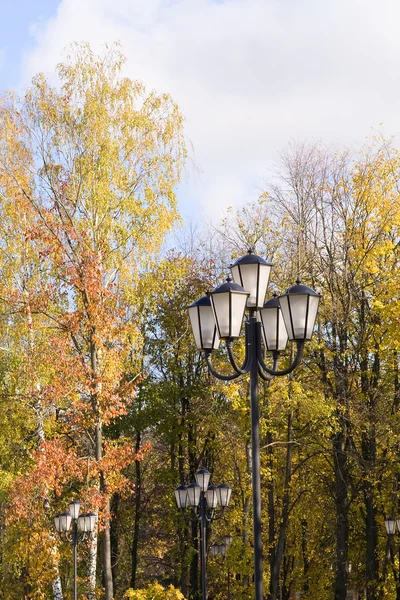 Lampy uliczne w parku — Zdjęcie stockowe