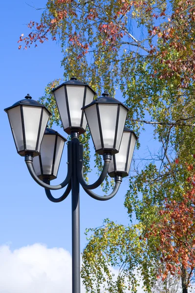 Lampa uliczna w parku jesiennym — Zdjęcie stockowe