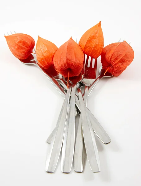 Phisalis and forks isolated — Stock Photo, Image