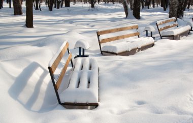 kar kaplı park banklar