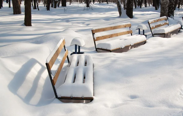 Bancos cobertos de neve no parque — Fotografia de Stock