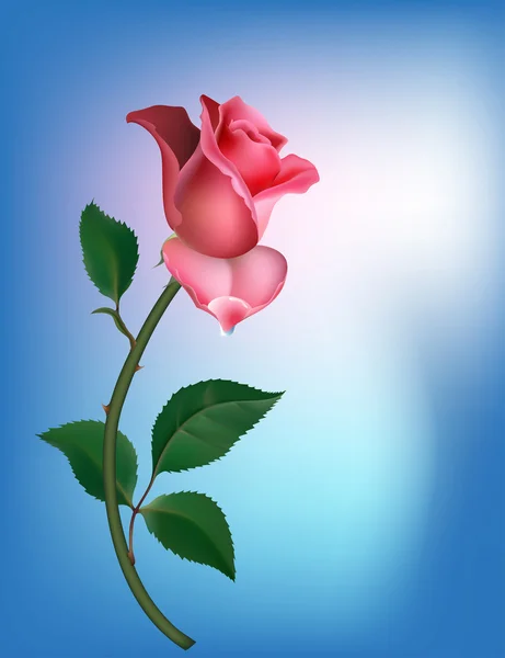 Роза на голубом — стоковый вектор