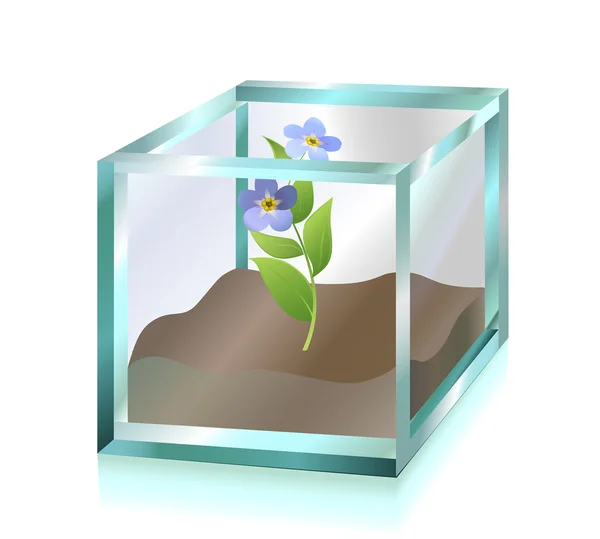 Скляний куб — стоковий вектор