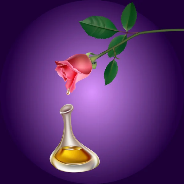 Perfum from rose — Stock Vector