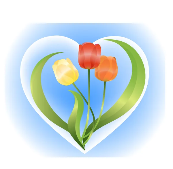 Forma del corazón de los tulipanes — Vector de stock