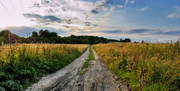 stock image Field road in time sunset