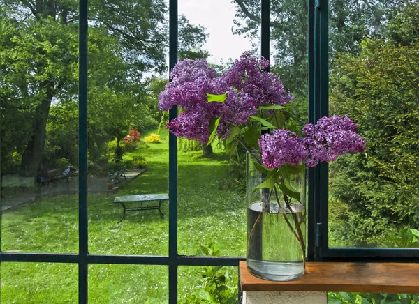 Lilac in vase — Stock Photo, Image