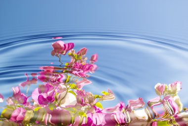 Water ripples with flowers clipart