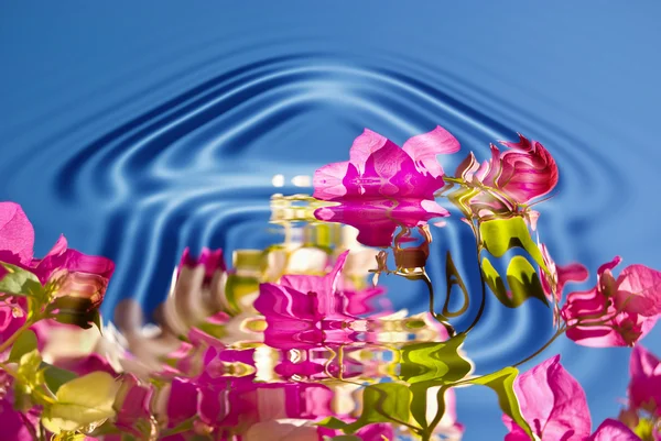 Волны воды с цветами — стоковое фото